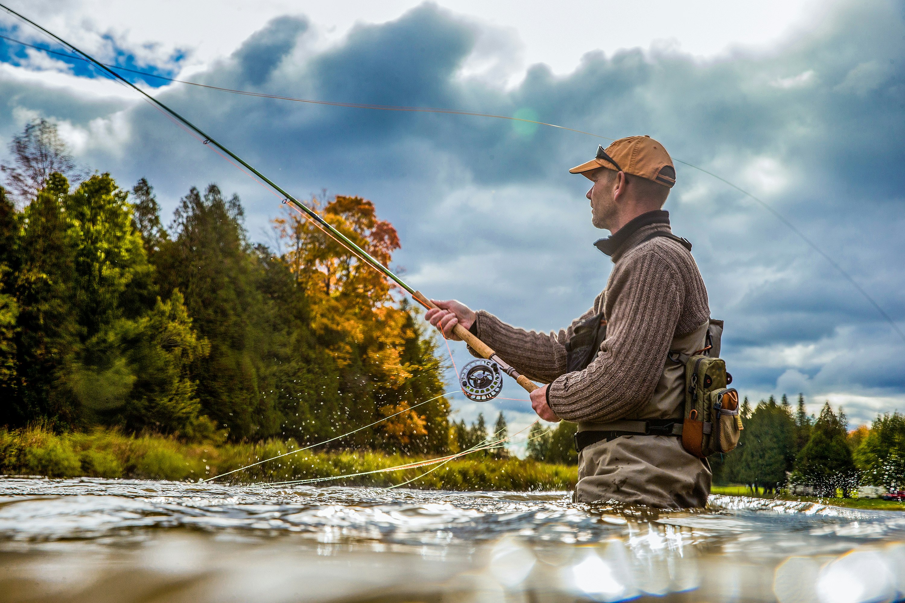 Flies of the World gallery image