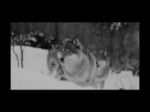 PackChat - Social Bounding gallery image