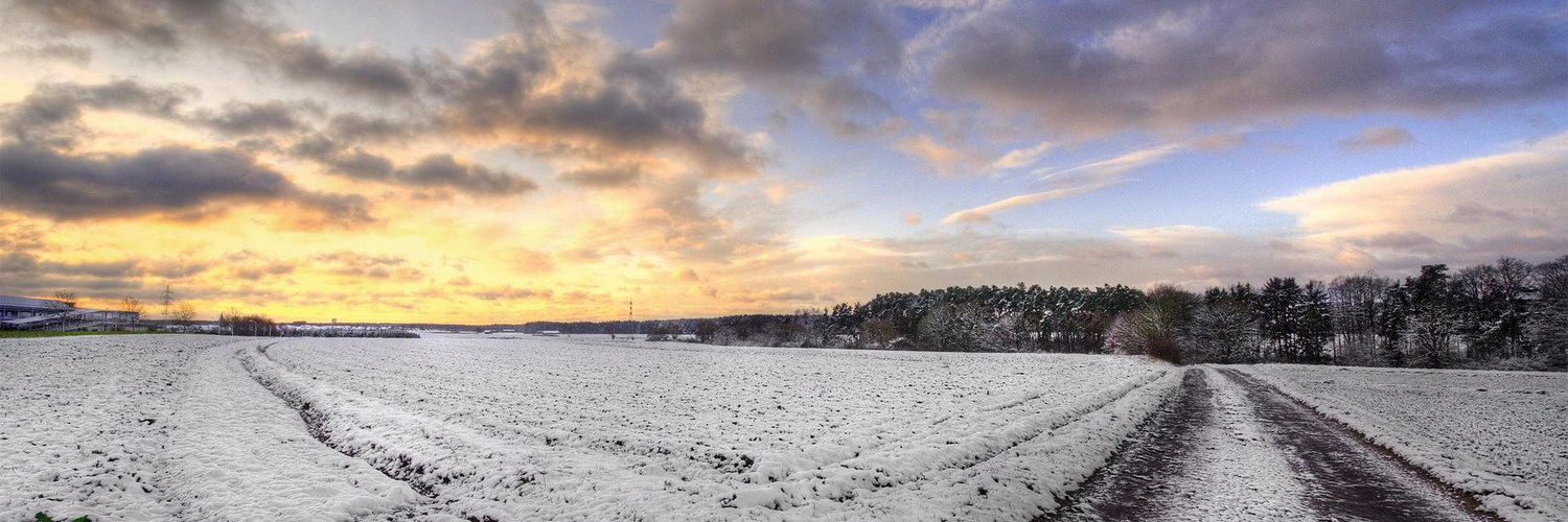 James Jerlecki cover