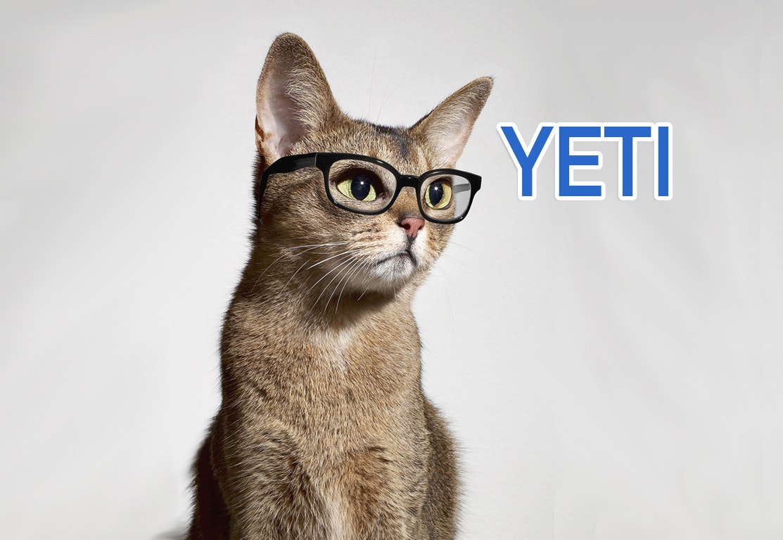 YetiYeti gallery image