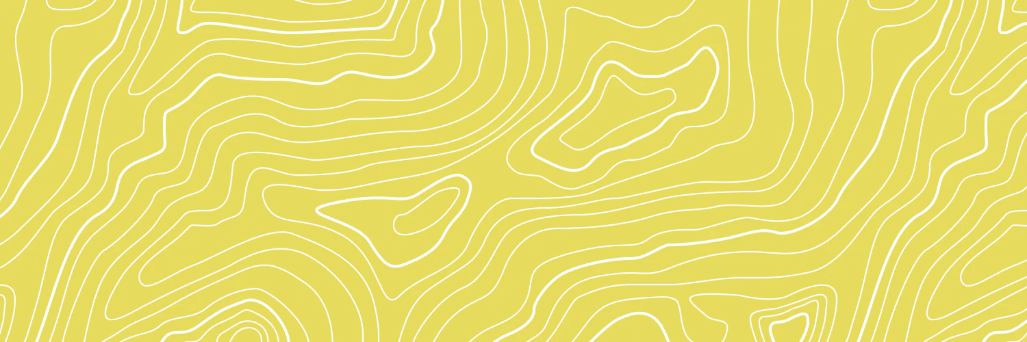 Else Vindshoej cover