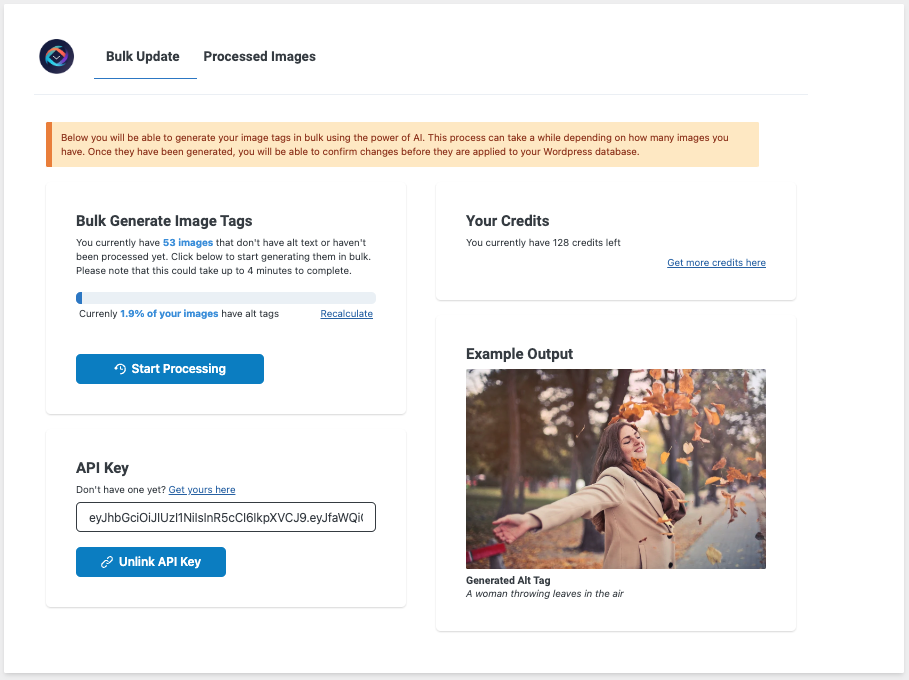 Media ALT TEXT GENERATOR AI - Pukal menjana gambar alt gambar anda dengan plugin WordPress kami 1
