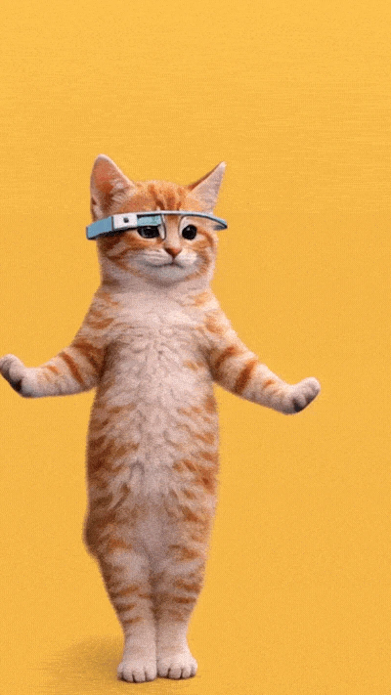 DANCING CATS App screenshot 7