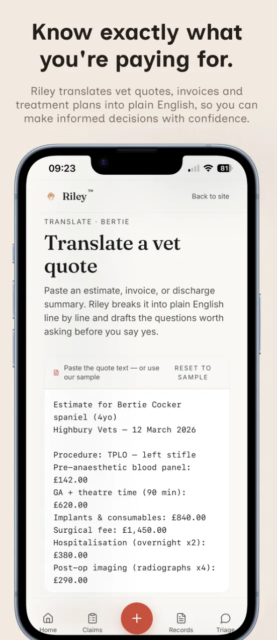 Riley gallery image