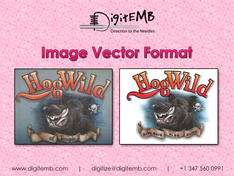 Image Vector Format