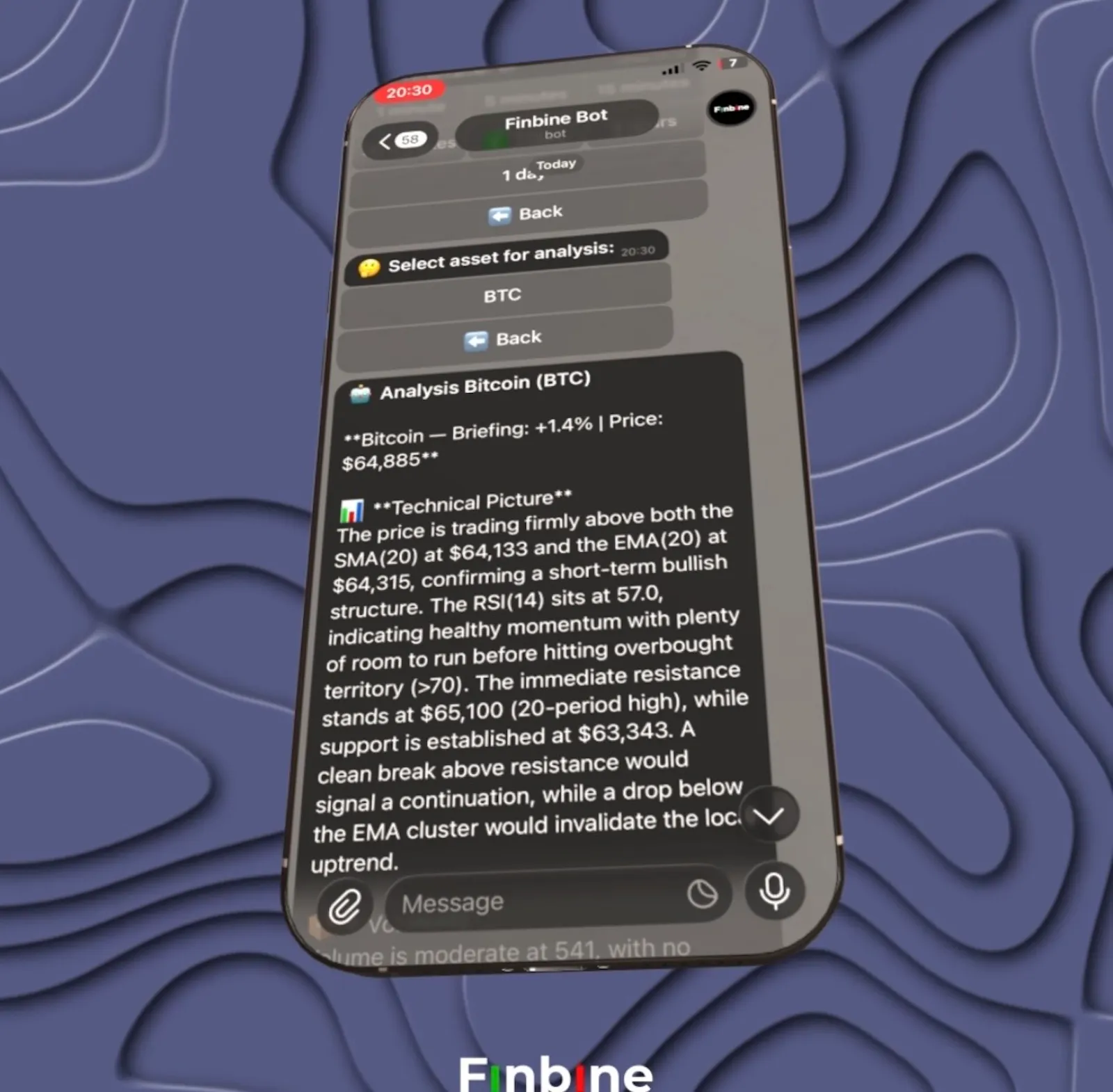 Finbine bot screenshot 4