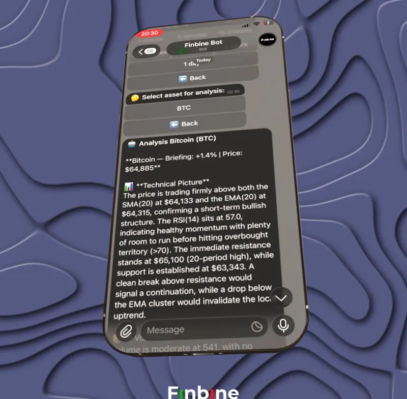 Finbine bot screenshot 4