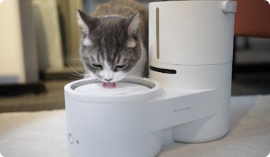 Drinkie gallery image