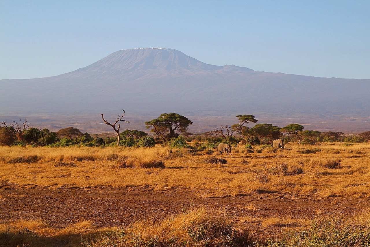 Africantrust Safari gallery image