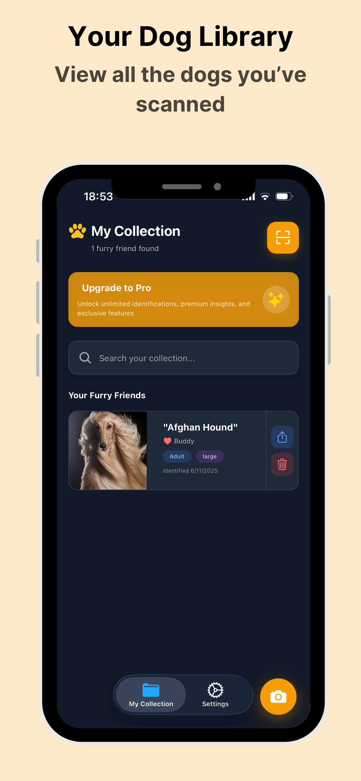 DogCare - Dog Breed Identifier gallery image