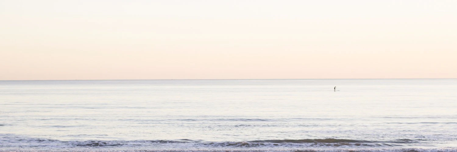 Lawrence Holmes cover