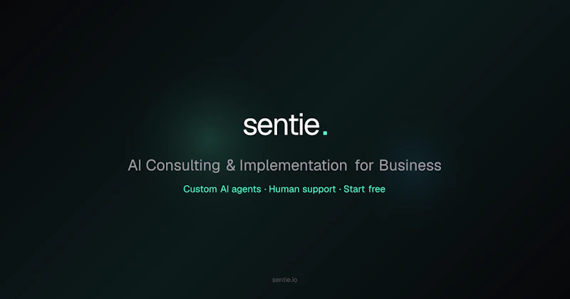 Sentie screenshot 1