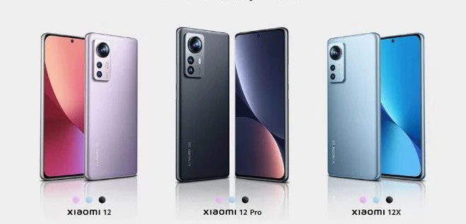 我的乐队5媒体1