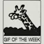 GIFOfTheWeek