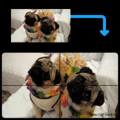 Twitter GIF Converter