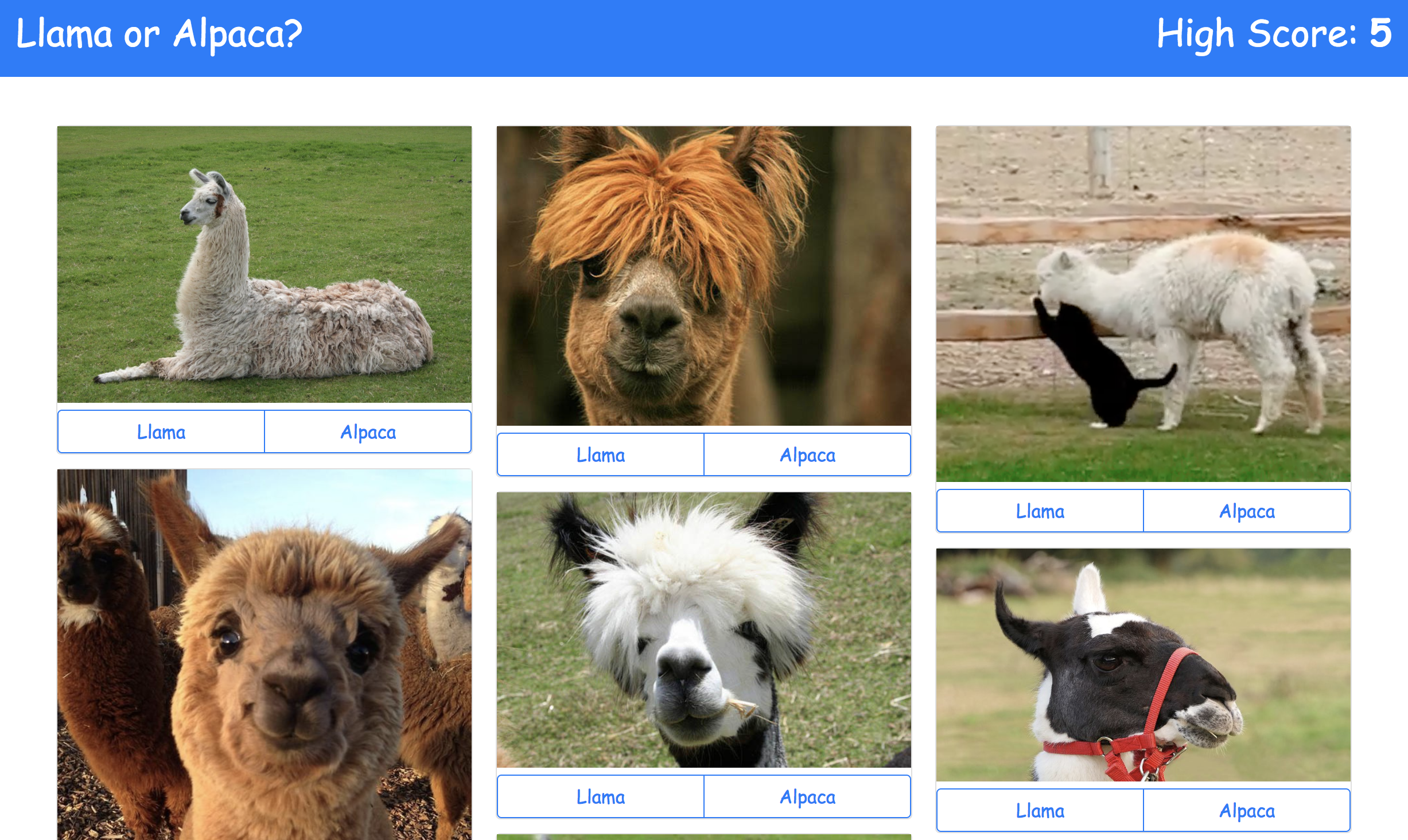 Llama or Alpaca Image