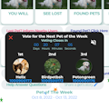 Sharepetstory