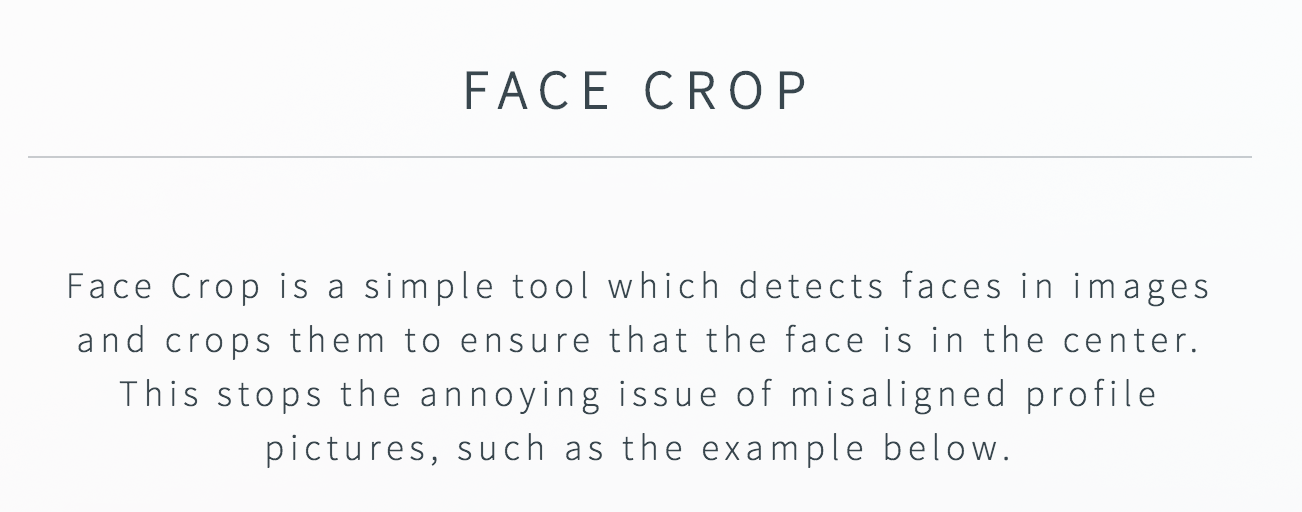 Face Crop gallery image