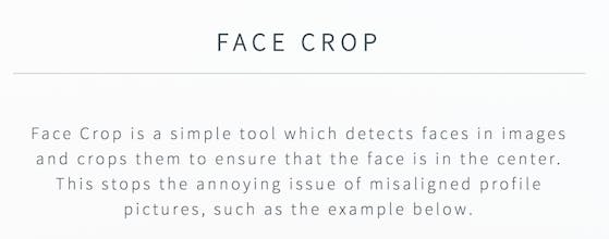 Face Crop gallery image