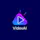 Videx AI
