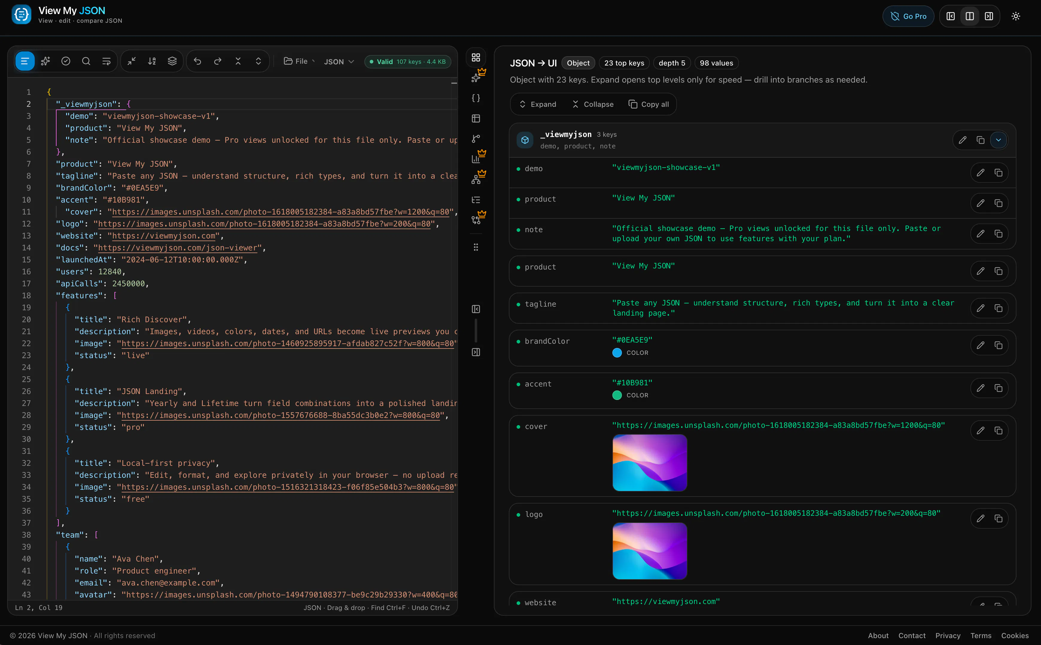 View My JSON gallery image