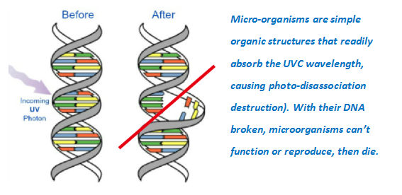 UVClean gallery image