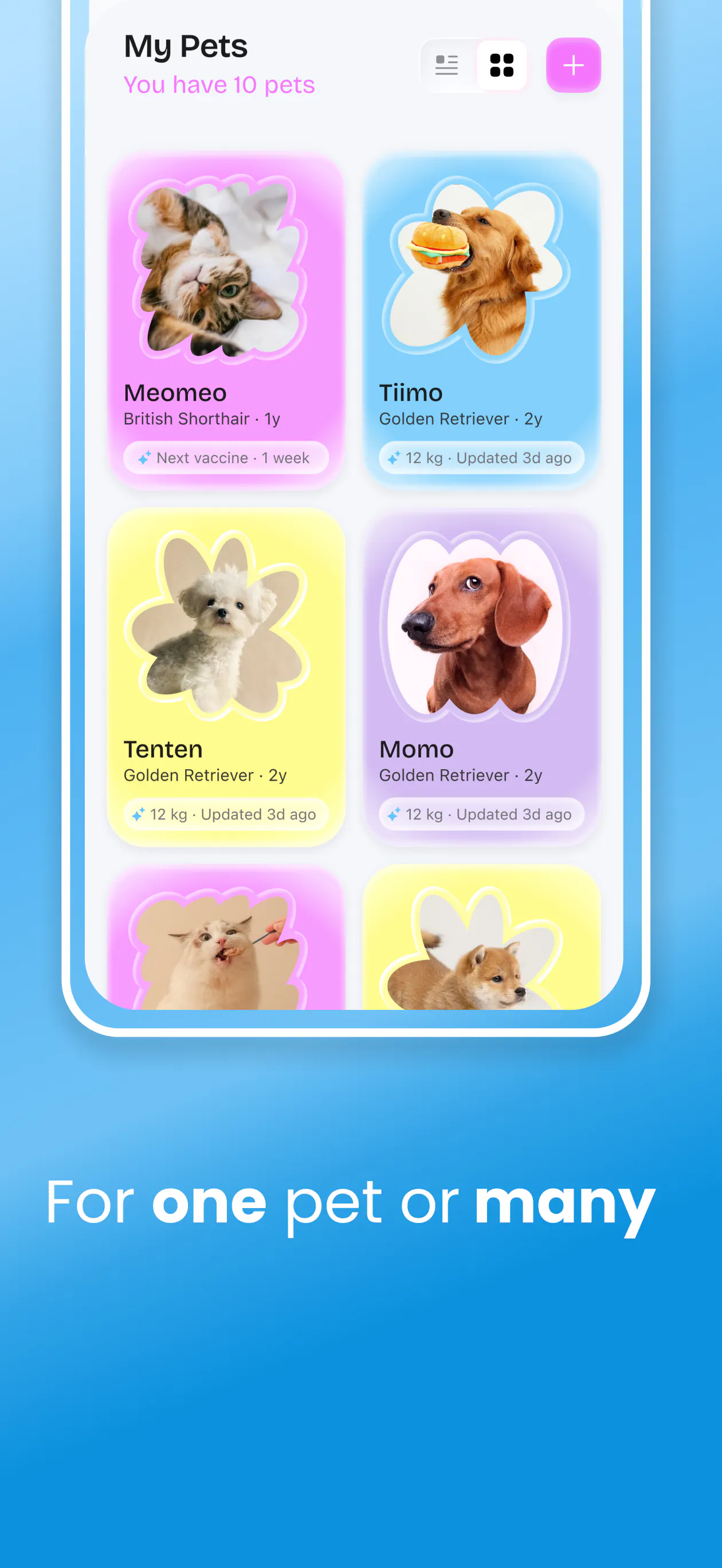 Petio gallery image