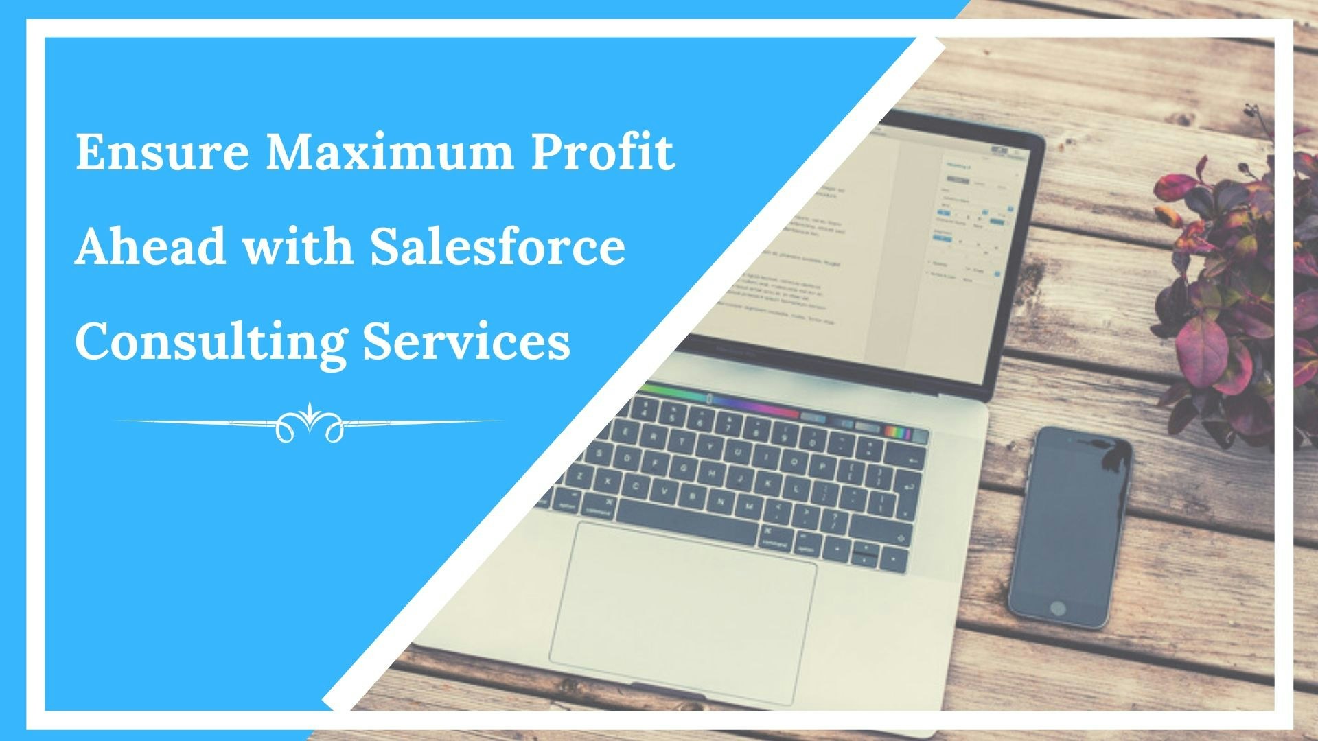 Salesforce Consulting gallery image