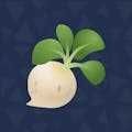 Turnips Market