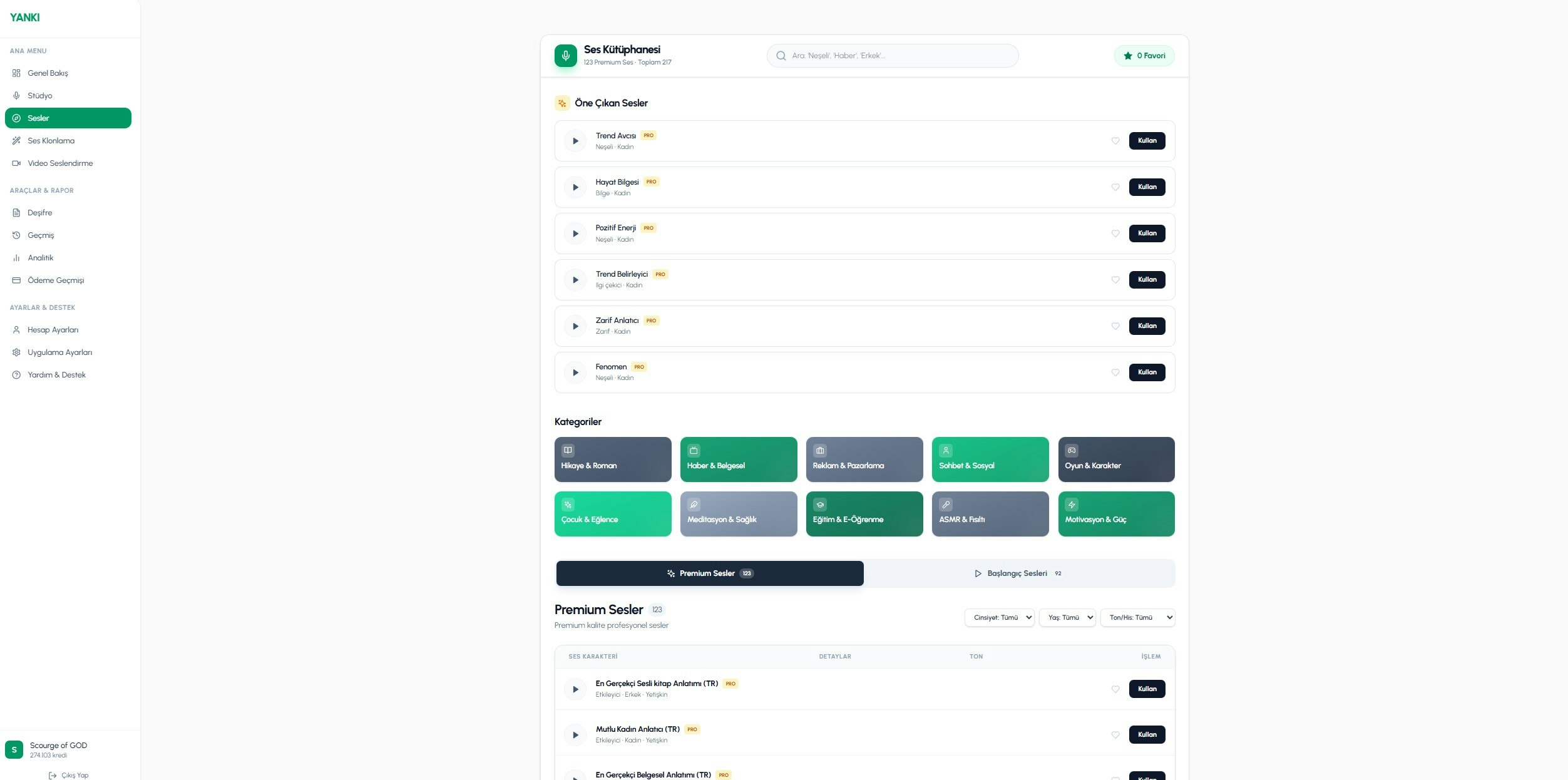 Yankı AI gallery image
