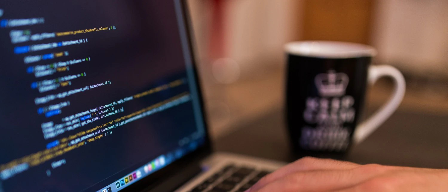 Sébastien Dumont cover