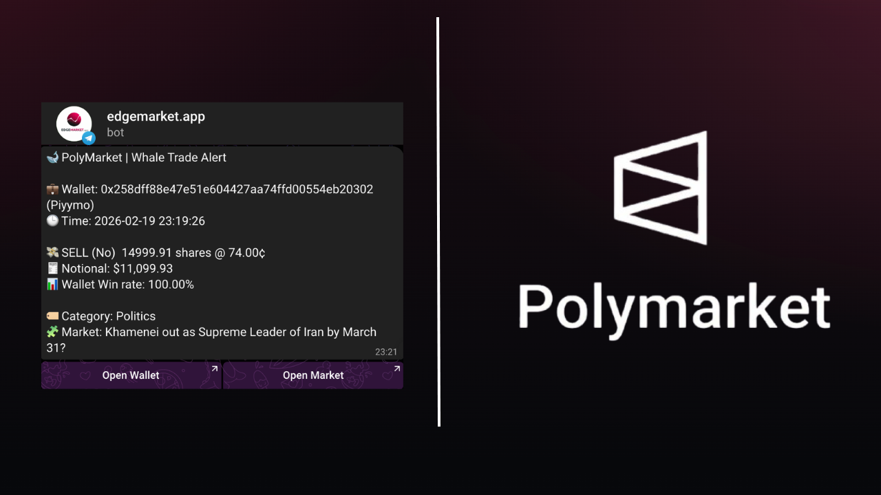 Track wallets and whales on Polymarket gallery image