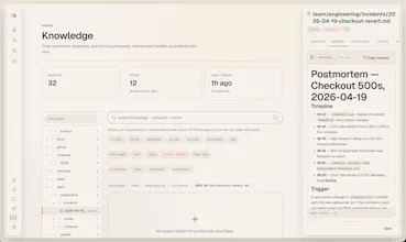 Hipocampus gallery image