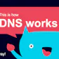 How DNS Works