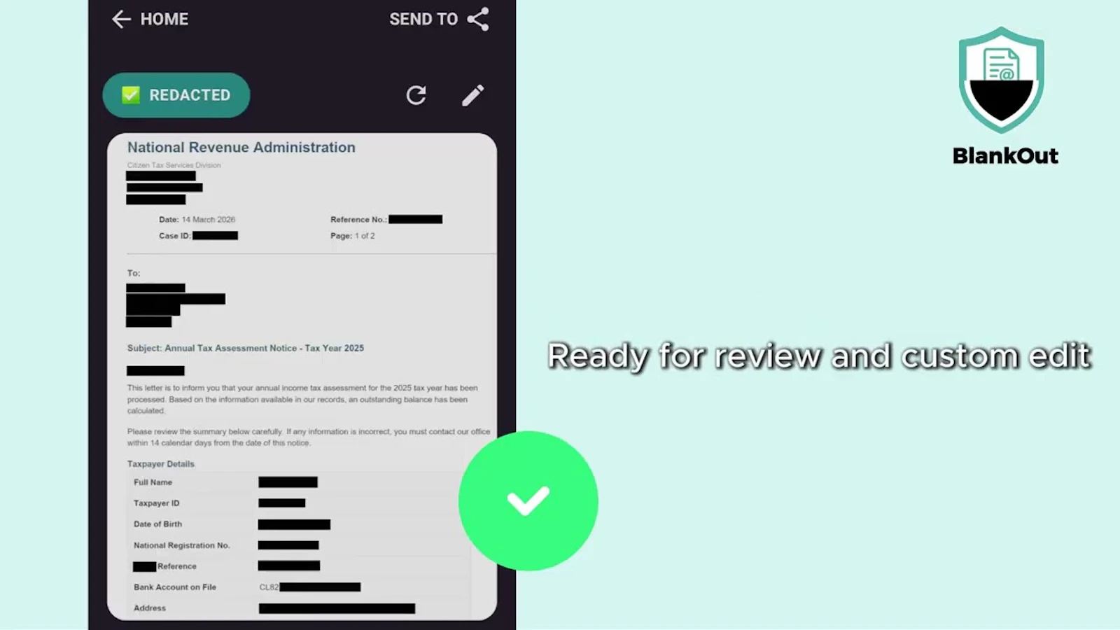 BlankOut screenshot 1 (video preview)