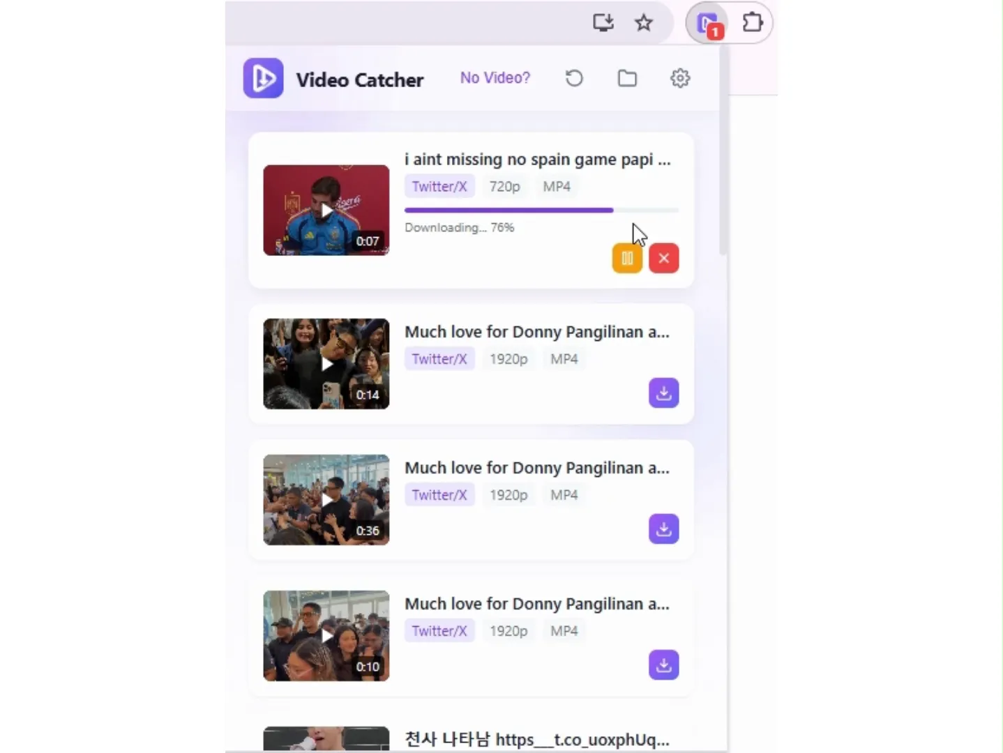 VideoCatcher gallery image