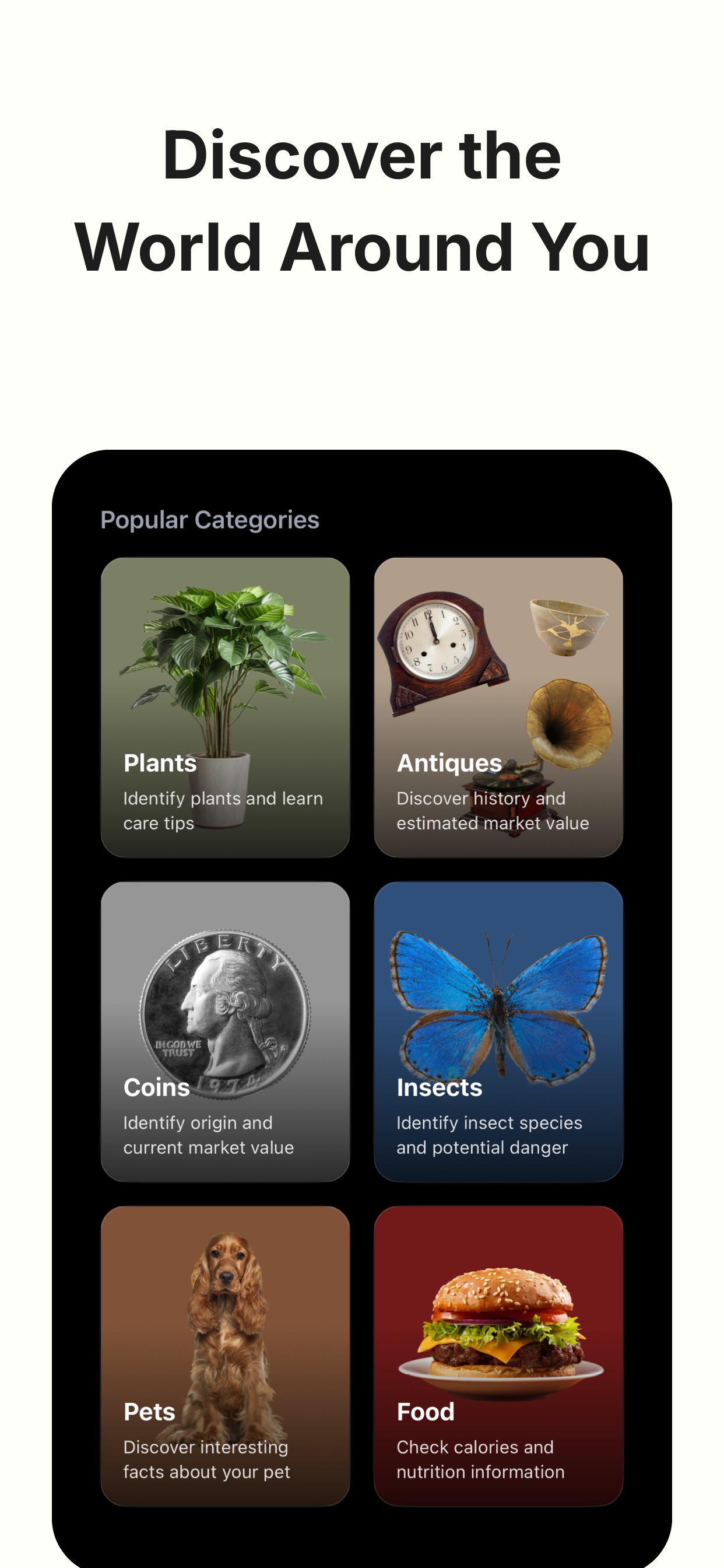 LiveScan AI - Screenshot 5 showing product features and functionality