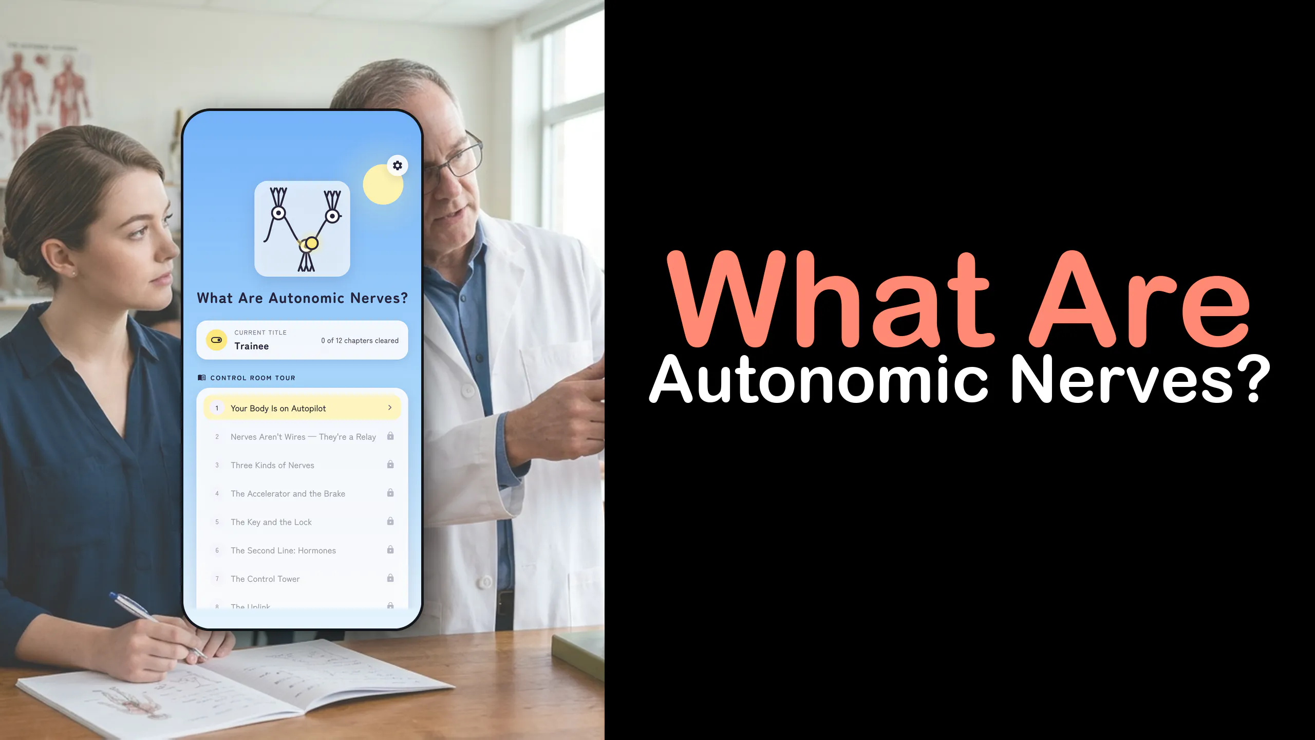 What Are Autonomic Nerves? gallery image
