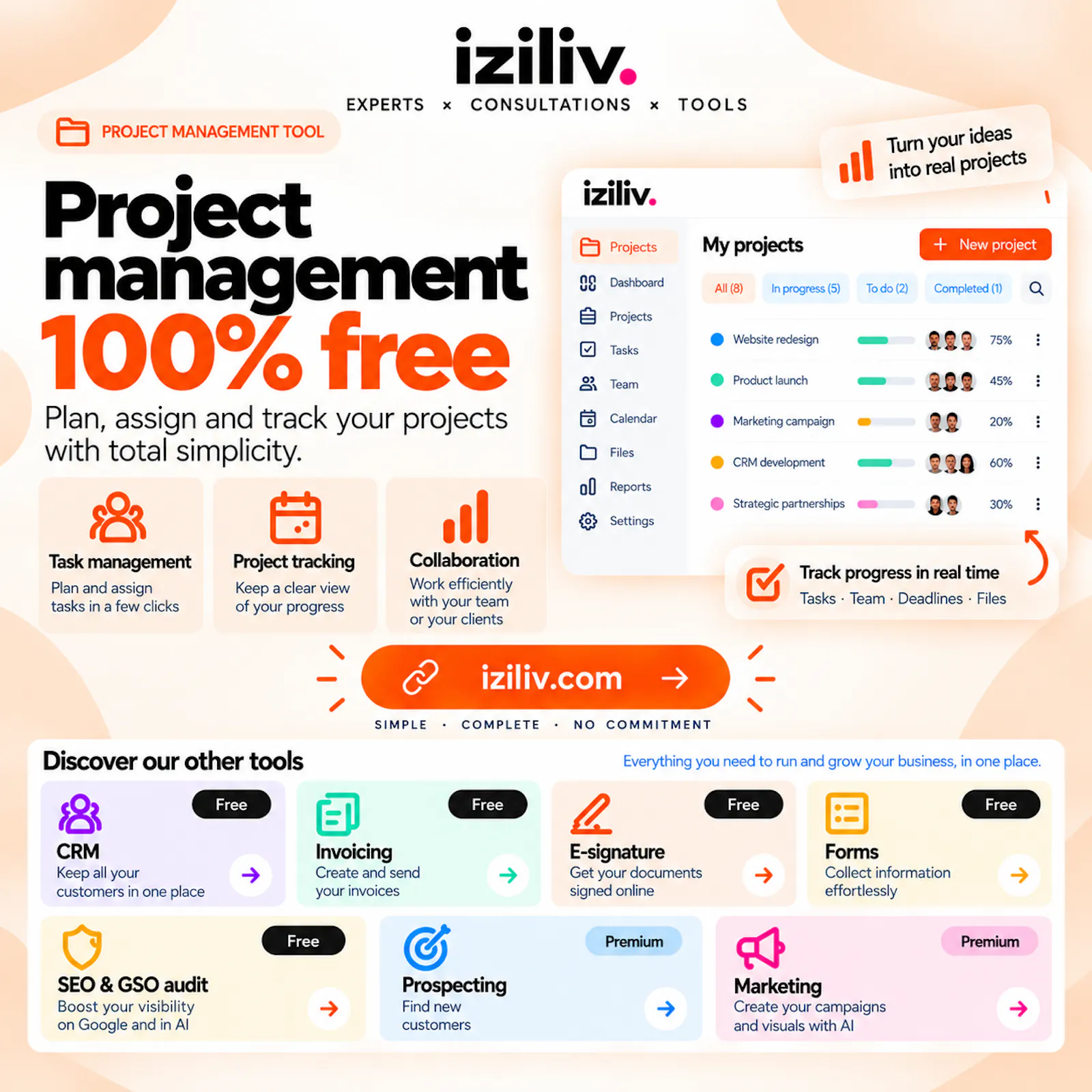 IZILIV screenshot 9