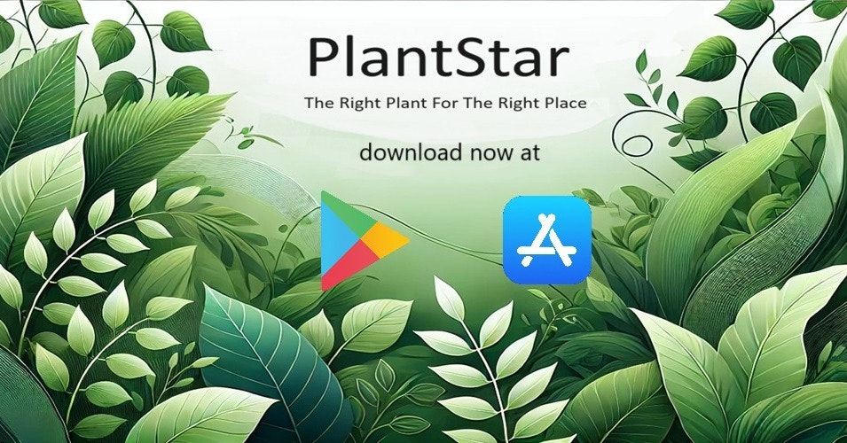plantstar.co.uk - Plantstar : 올바른 장소를위한 올바른 식물! 미디어 2
