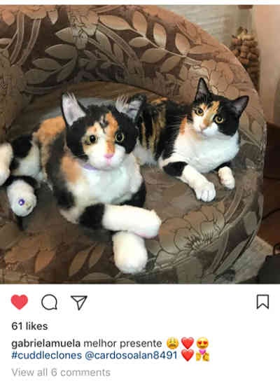 Cuddle Clones gallery image