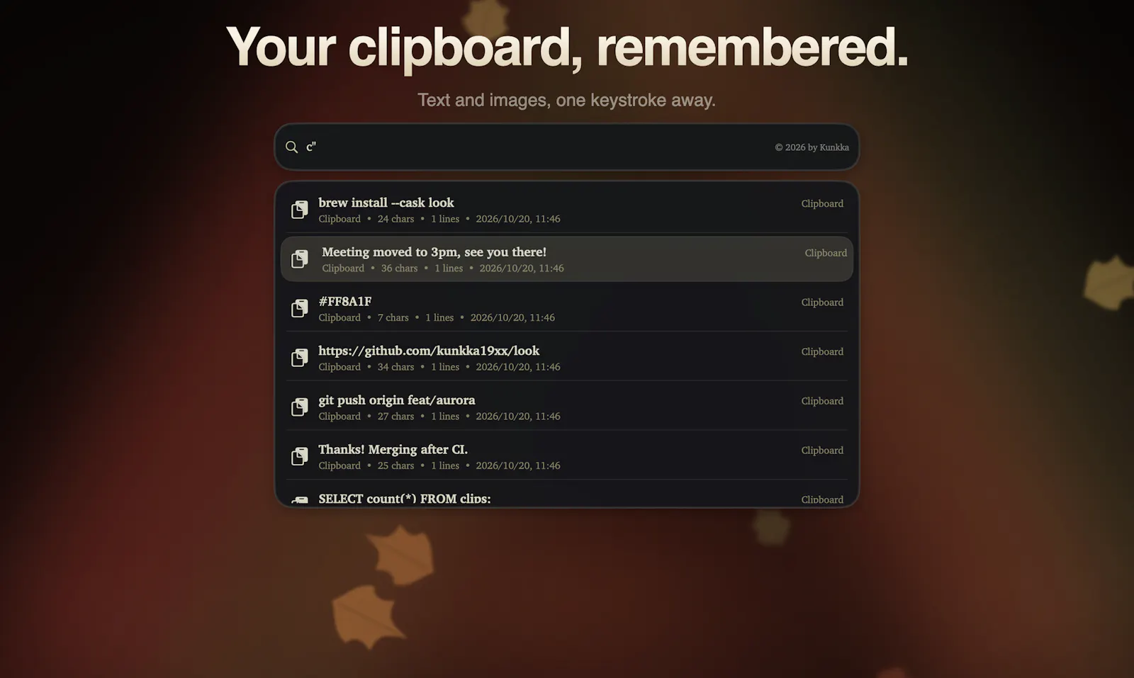 Look Launcher screenshot 6