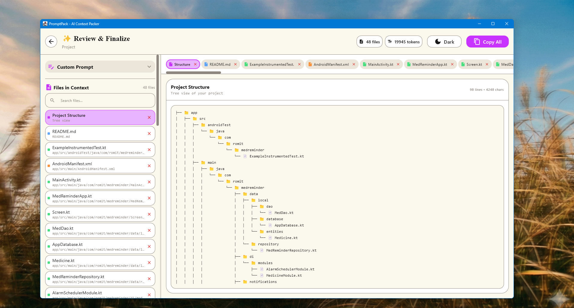 PromptPack - Screenshot 5 showing product features and functionality
