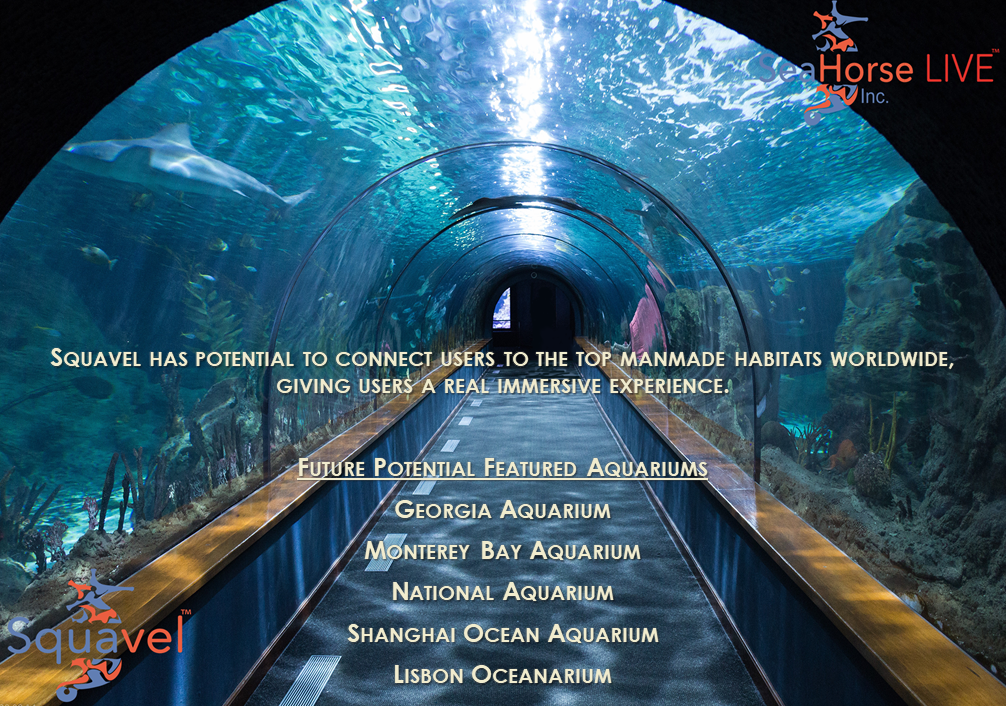 Squavel gallery image