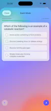 Nexora AI gallery image