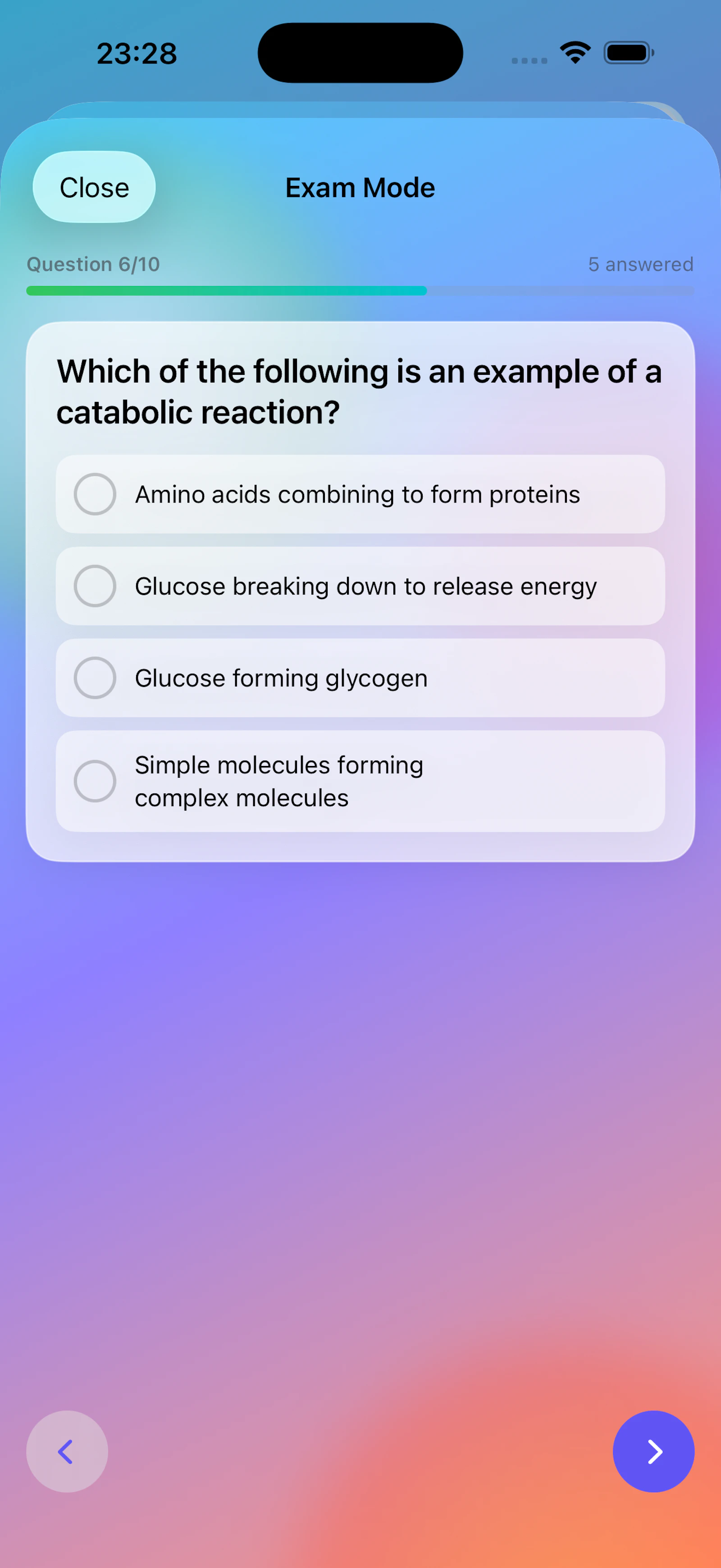 Nexora AI screenshot 7