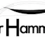 Car Hammock