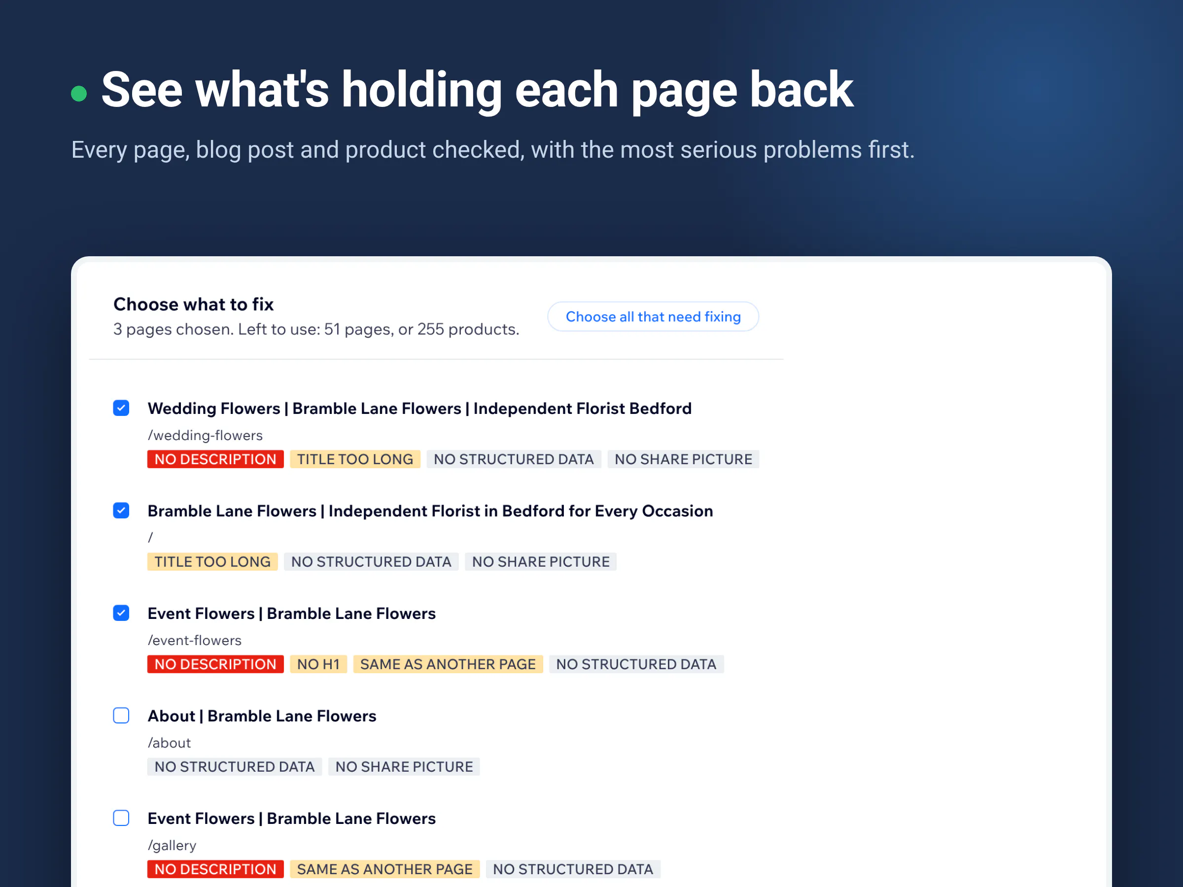 SEO Fix in a Box gallery image