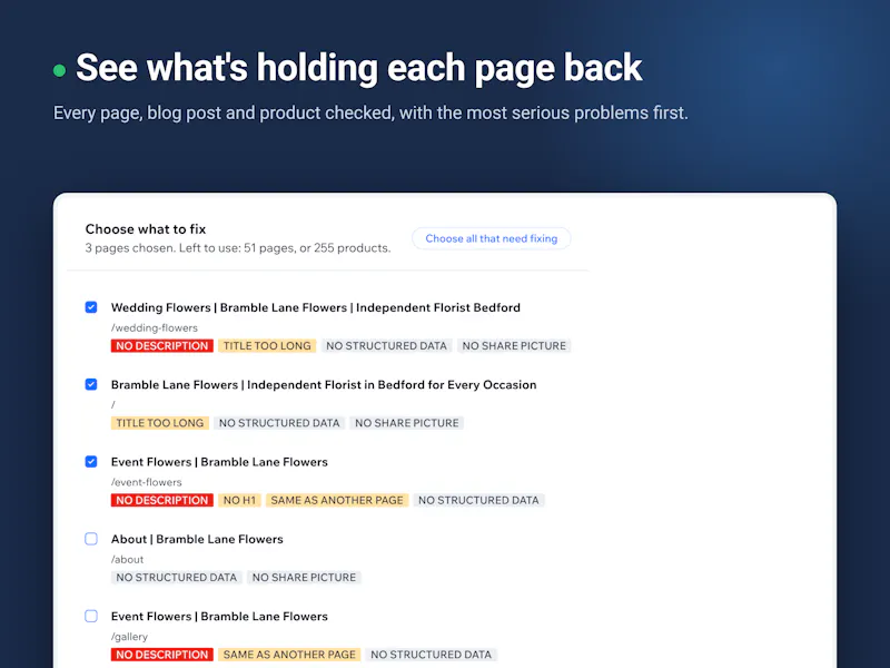 SEO Fix in a Box screenshot 4