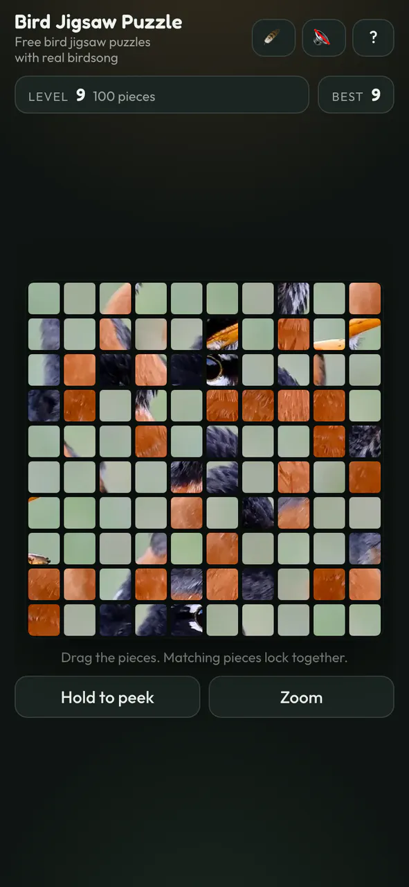 Endless Bird Jigsaw Puzzle gallery image